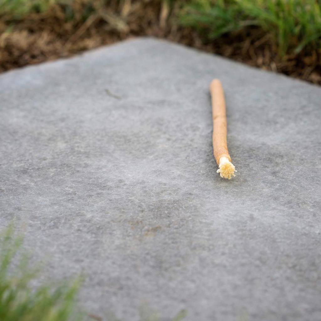 المسواك: فوائده المبهرة